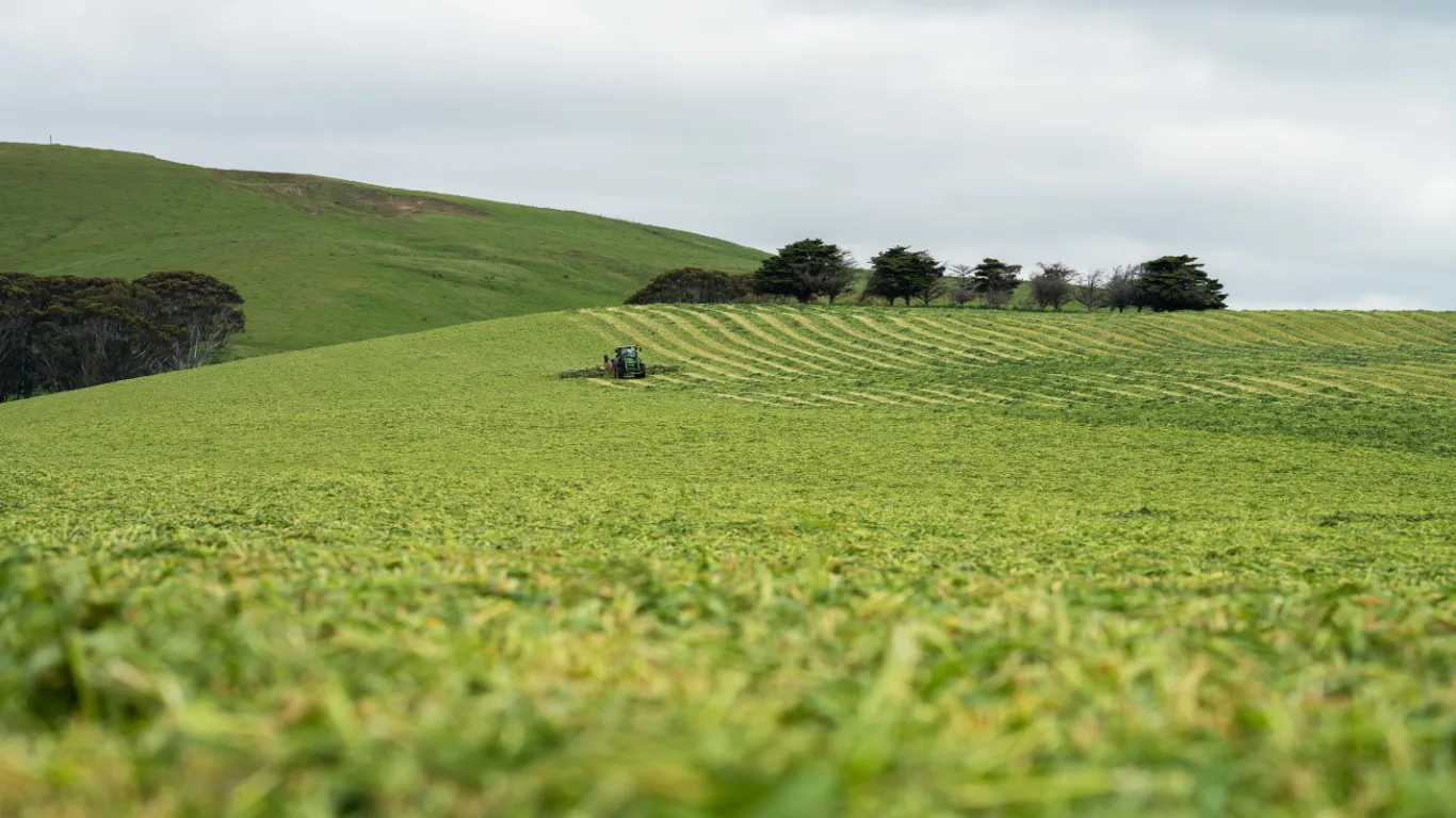 Tractor working on sloping farmland in Western Australia